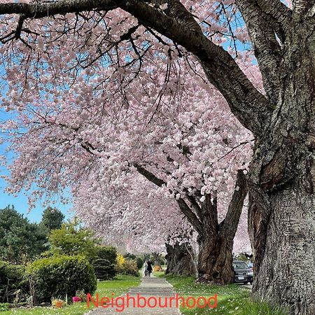 South Vancouver Guesthouse 外观 照片