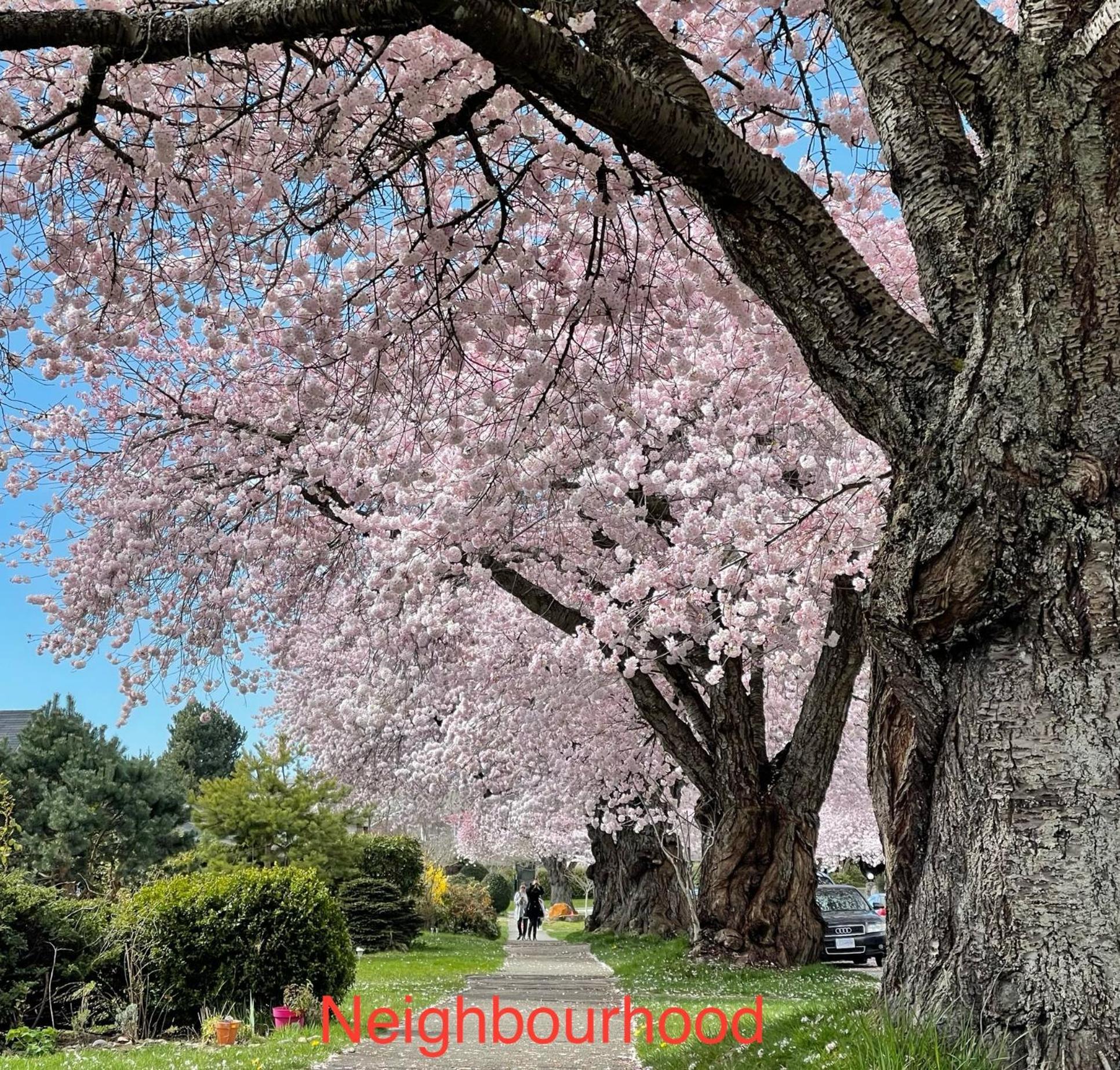 South Vancouver Guesthouse 外观 照片